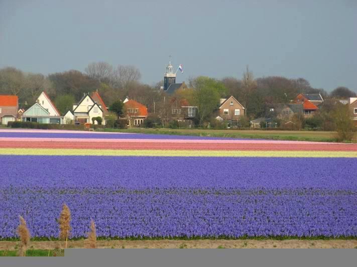 De Blaauboer, Vakantiehuisje Egmond aan Zee Phòng bức ảnh