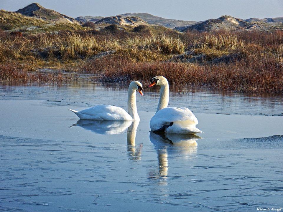De Blaauboer, Vakantiehuisje Egmond aan Zee Ngoại thất bức ảnh