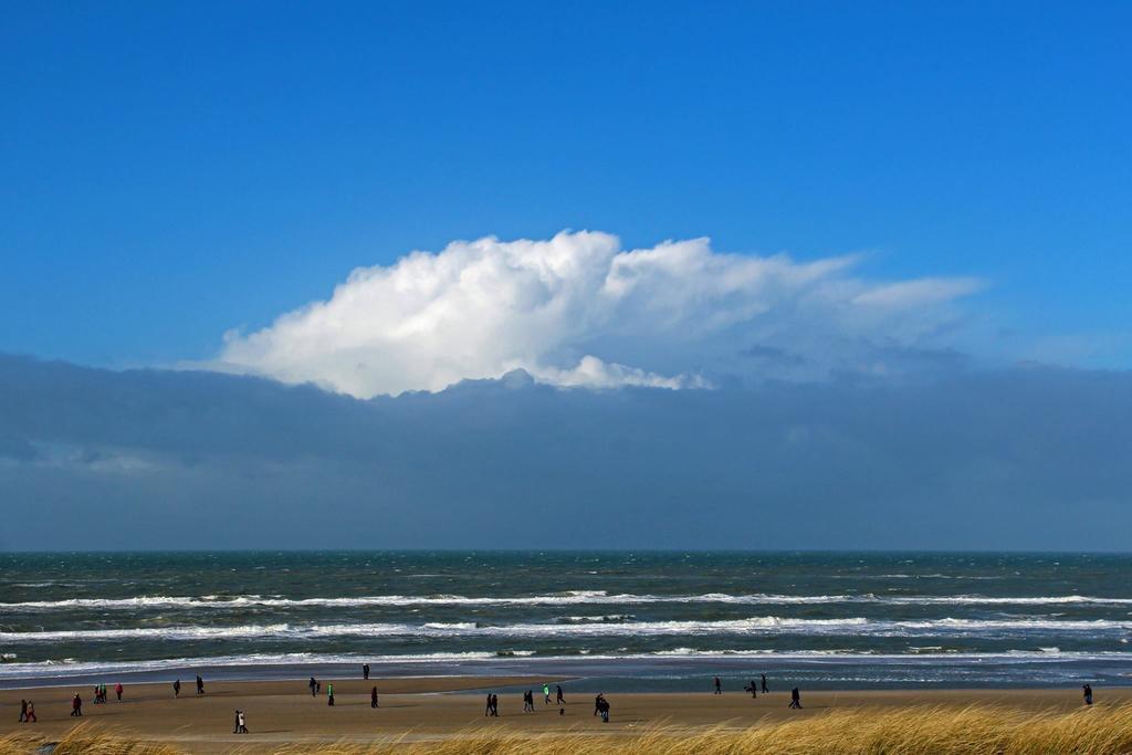De Blaauboer, Vakantiehuisje Egmond aan Zee Ngoại thất bức ảnh